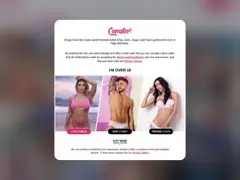 Camster preview
