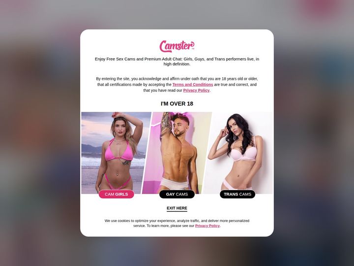 Camster preview