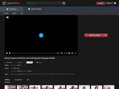 PornBox preview