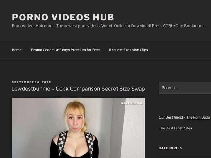PornoVideosHub preview