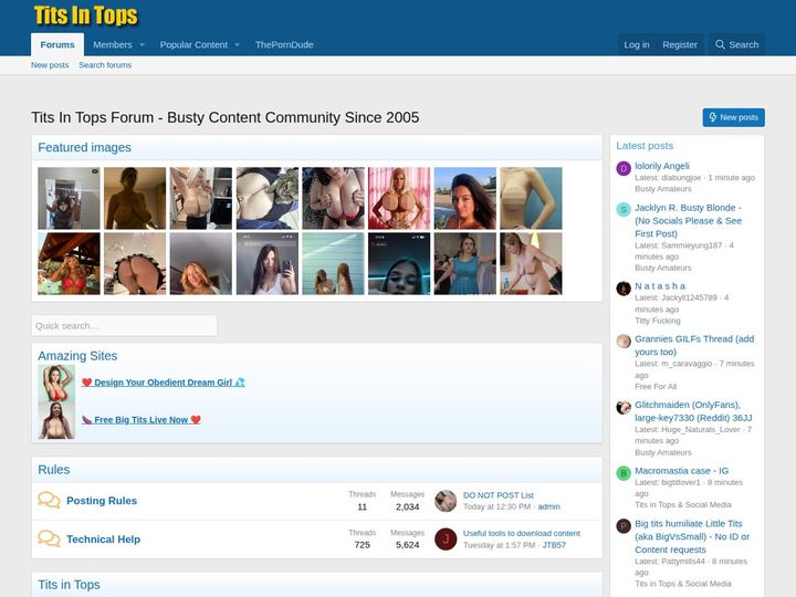 TitsInTops Forum preview