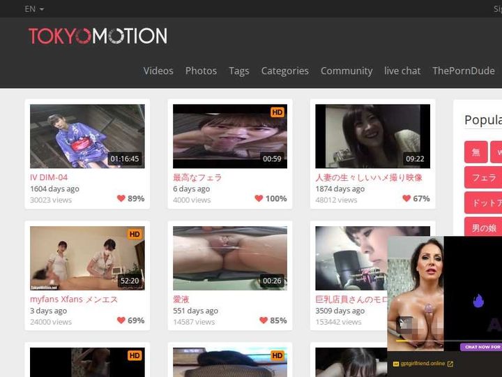 TokyoMotion.net preview