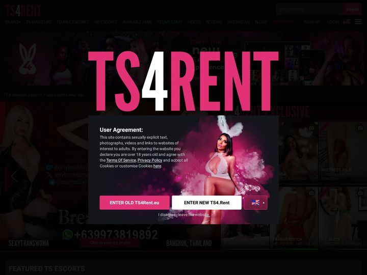 Ts4rent preview